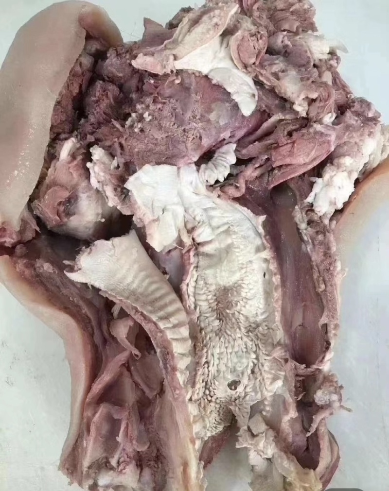 全熟牛头肉可凉拌可爆炒可以定制一手货源