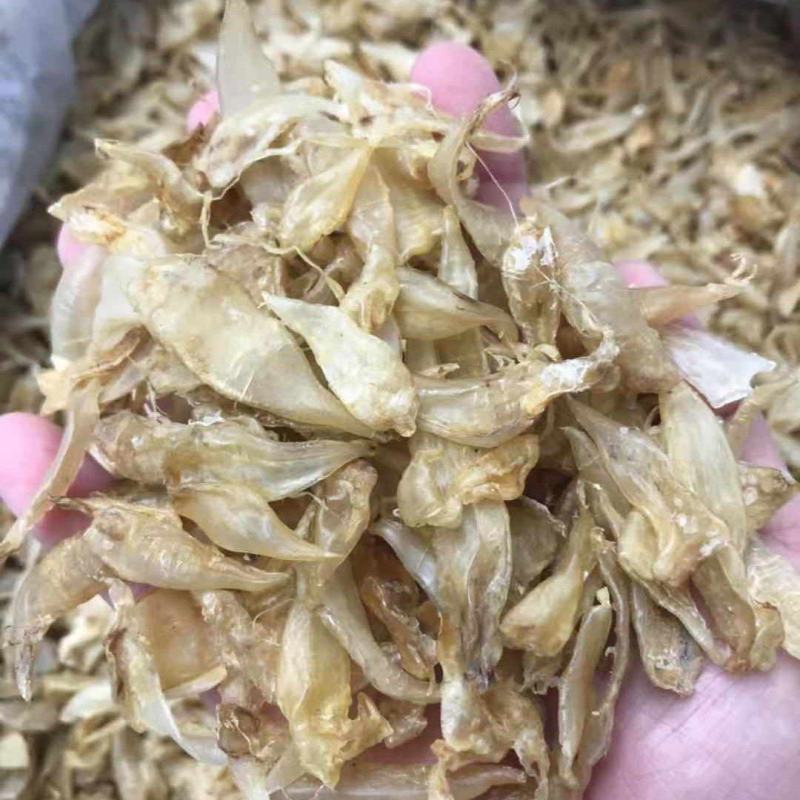 小缅甸黄花胶又称豆仁胶胶质非常好约1000头