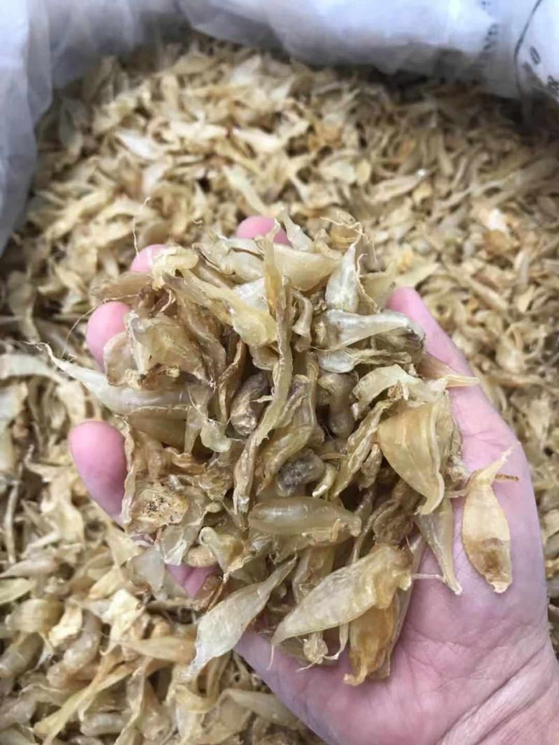 小缅甸黄花胶又称豆仁胶胶质非常好约1000头