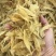 小黄花胶350头囗感胶质非常好肉厚丰满价格优惠