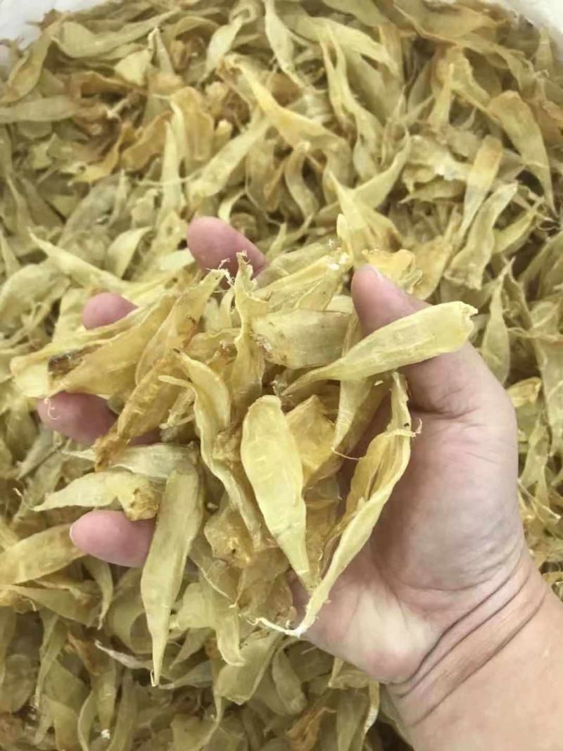 小黄花胶350头囗感胶质非常好肉厚丰满价格优惠