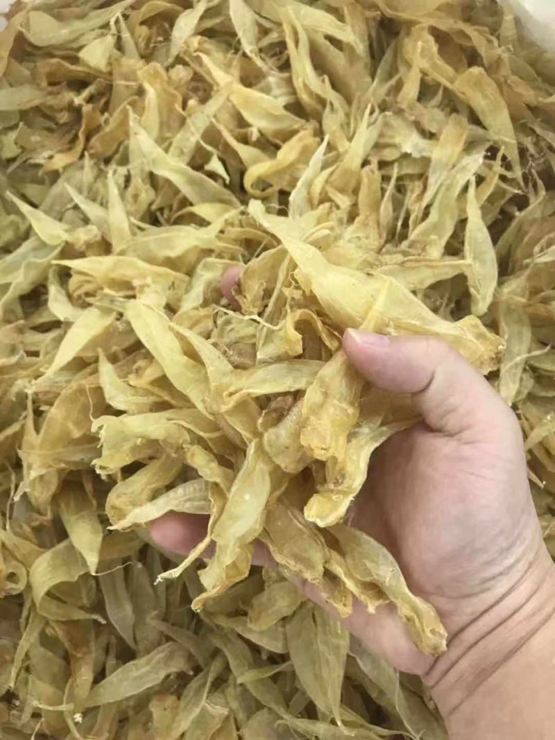 小黄花胶350头囗感胶质非常好肉厚丰满价格优惠