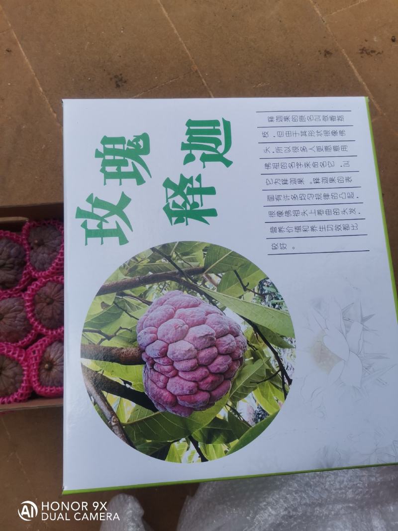 来自中国大陆最南端热带水果红玫释迦果，果中贵族，口感清甜