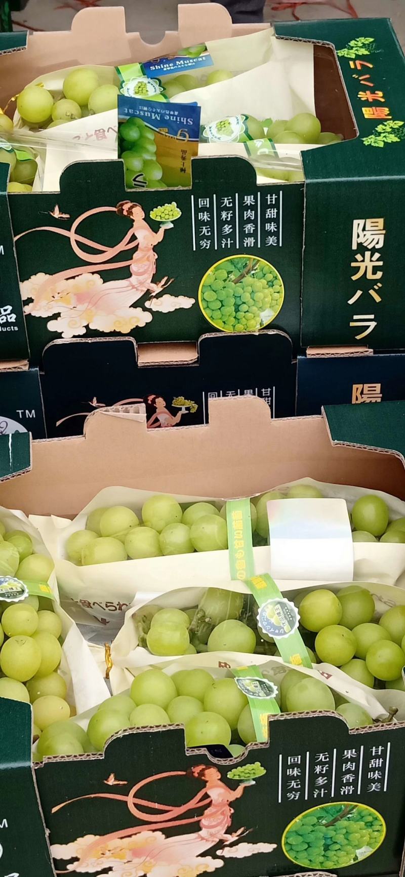 【实力供货】阳光玫瑰葡萄晴王百万亩阳光玫瑰