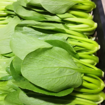 蚌埠双城专业种植合作社