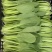 蚌埠双城专业种植合作社