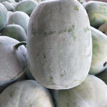 水果冬瓜，翡翠冬瓜