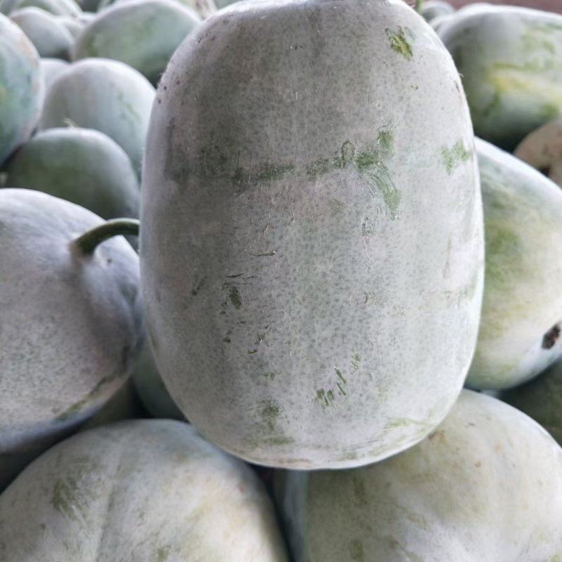 水果冬瓜，翡翠冬瓜
