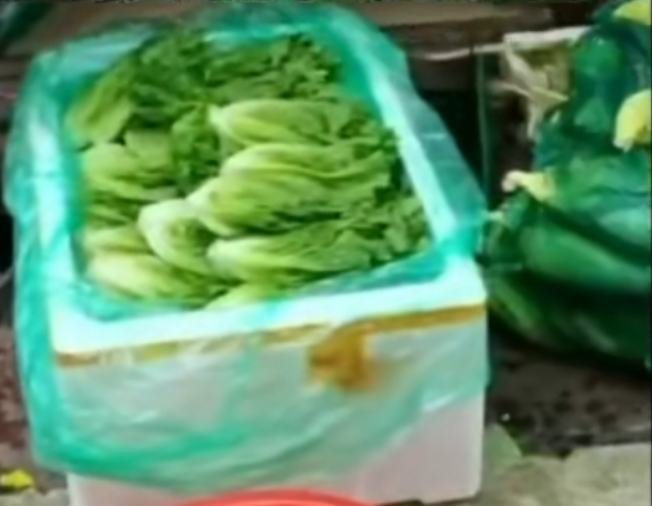 长叶生菜市场销售场景