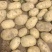 产地直发尤金土豆质量好皮毛亮有需要的老板请联系