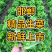🔥邯郸精品生菜生菜大量有货，支持视频看货，产地直发！