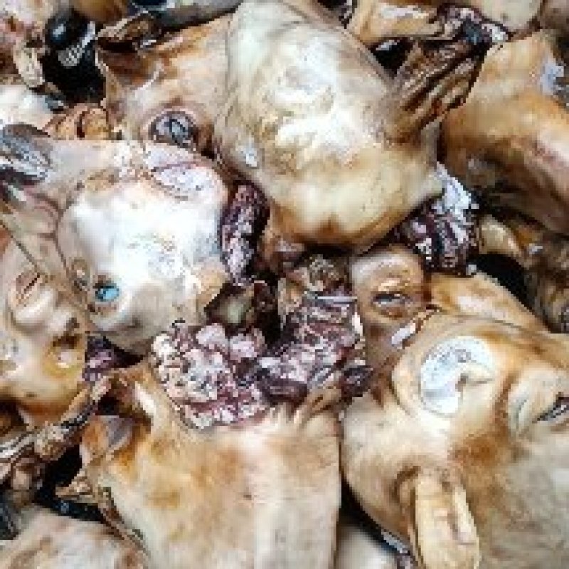 牛头（，火烧牛头，纯草地小肥牛头，全部劈开的，，，，，，