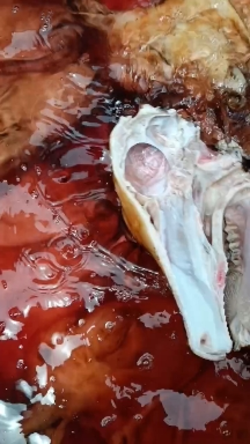 牛头（，火烧牛头，纯草地小肥牛头，全部劈开的，，，，，，