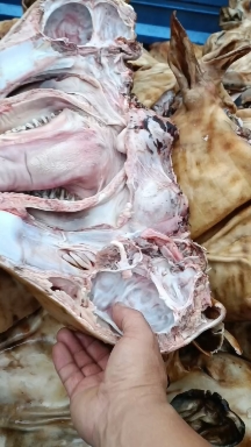 牛头（，火烧牛头，纯草地小肥牛头，全部劈开的，，，，，，