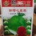 郑研红心萝卜种子口感好品质佳产量高