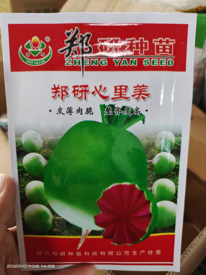 郑研红心萝卜种子口感好品质佳产量高