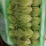 绿箭西葫芦大量有货，另有多种蔬菜配货，需要的客户联系