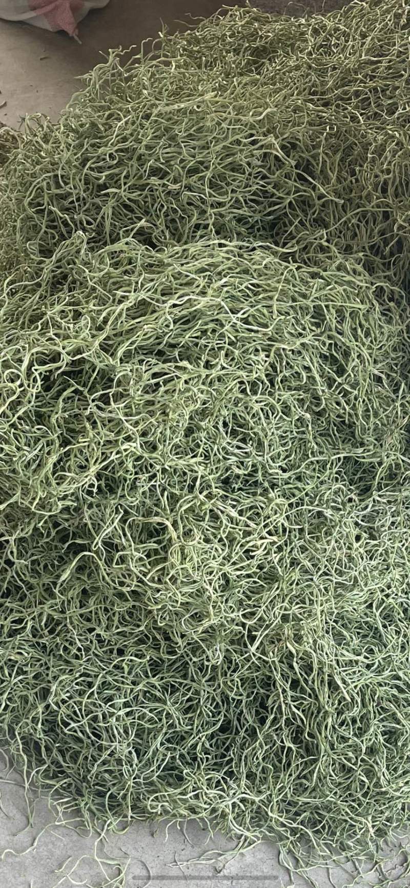精品干豆角丝(16cm以上、产地直销、一级架豆角烘干）只做精