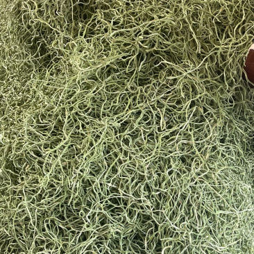 精品干豆角丝(16cm以上、产地直销、一级架豆角烘干）只做精
