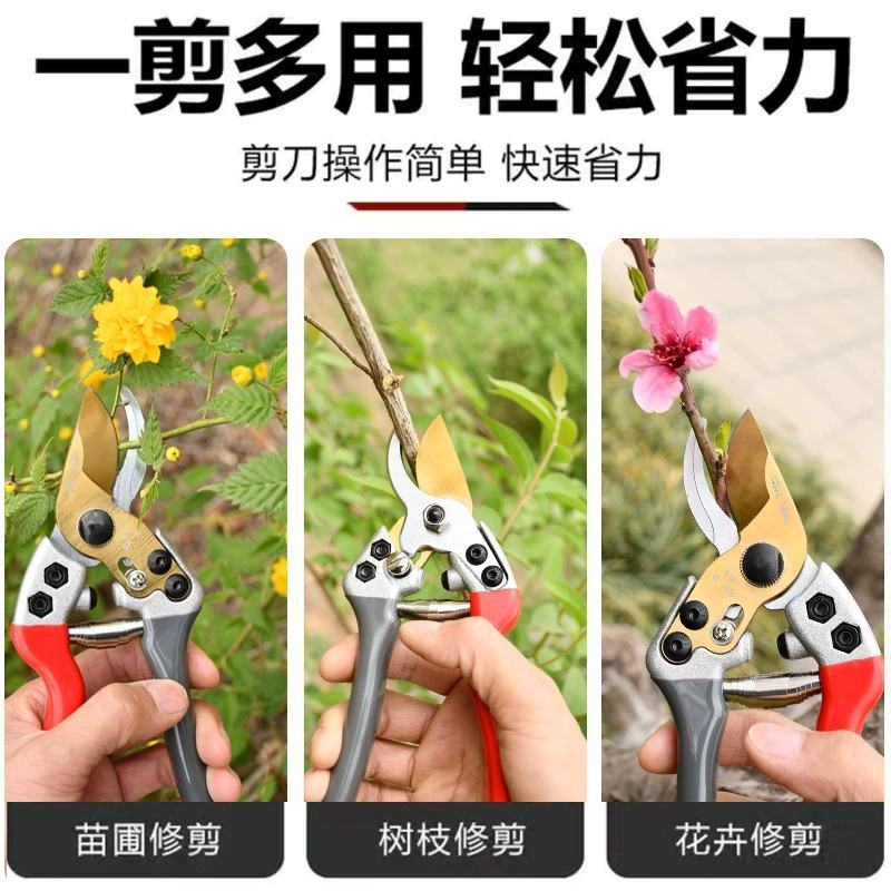 加厚锋利修枝剪修花剪枝园艺剪省力SK5强力果树剪刀