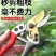 加厚锋利修枝剪修花剪枝园艺剪省力SK5强力果树剪刀