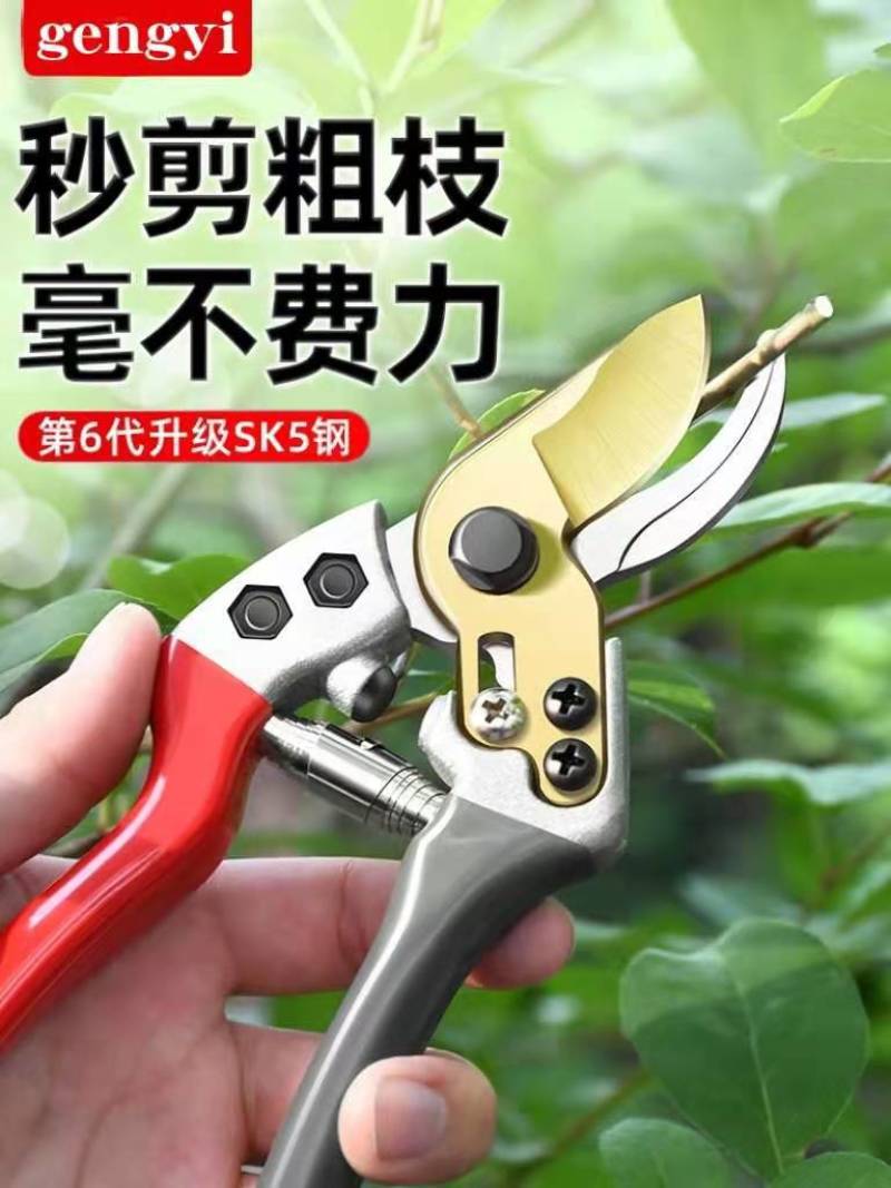 加厚锋利修枝剪修花剪枝园艺剪省力SK5强力果树剪刀