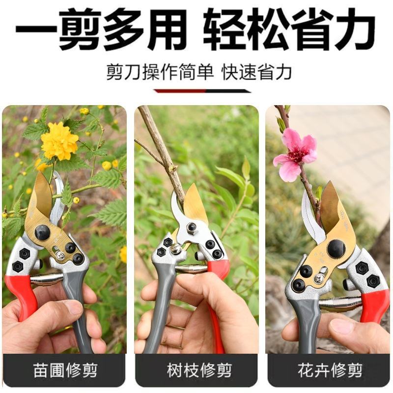 加厚锋利修枝剪修花剪枝园艺剪省力SK5强力果树剪刀