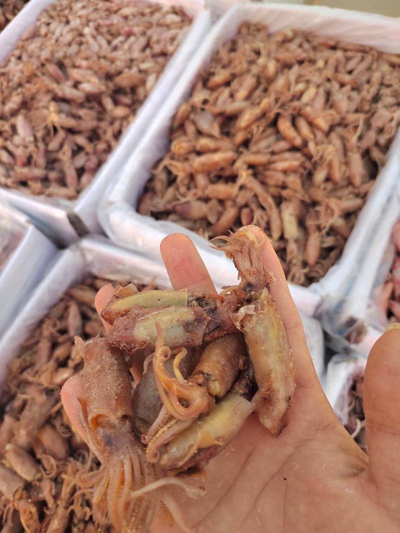 肉多带子口感好