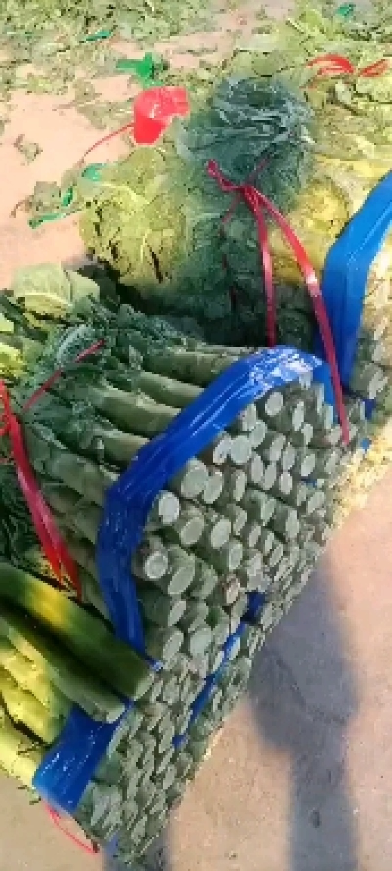 精品莴笋青杆莴笋大量供应原产地批发货源充足品质保证