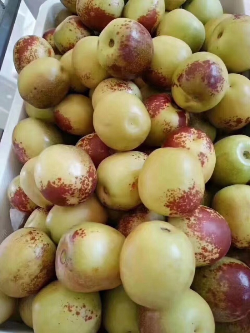 大荔冬枣