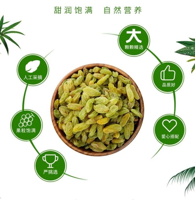 孔哥新货新疆葡萄干大颗粒特级免洗零食蜜饯开袋即食即用好吃