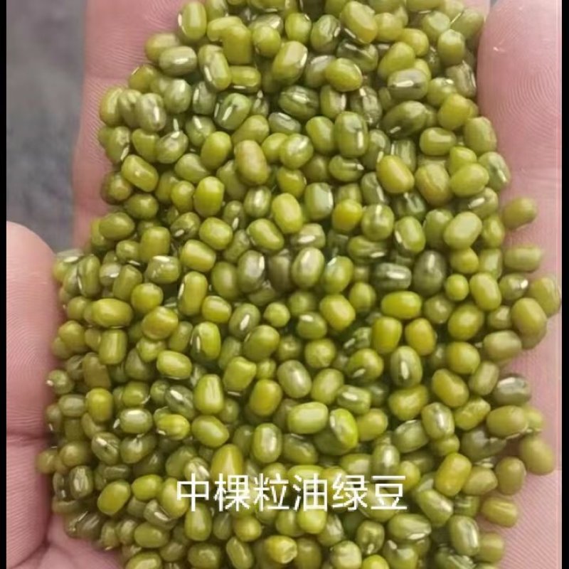 炎炎夏日，发货不断