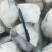 鳕鱼排鳕鱼块深海海鳕鱼一手货源