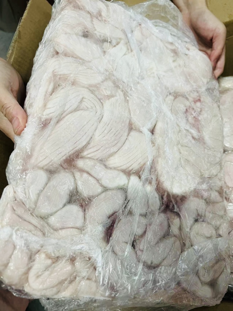 大花肠、大儿肠
