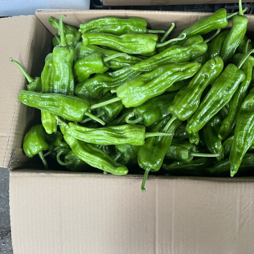 目前市场走货慢行情差老板发微信说基地上的精品一到直接抢光