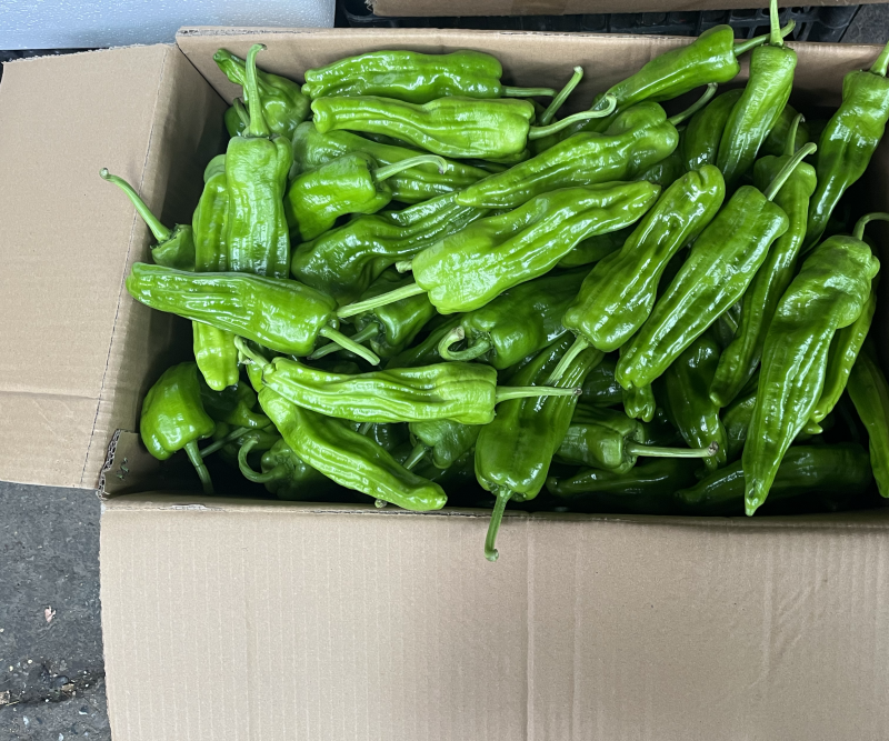 目前市场走货慢行情差老板发微信说基地上的精品一到直接抢光