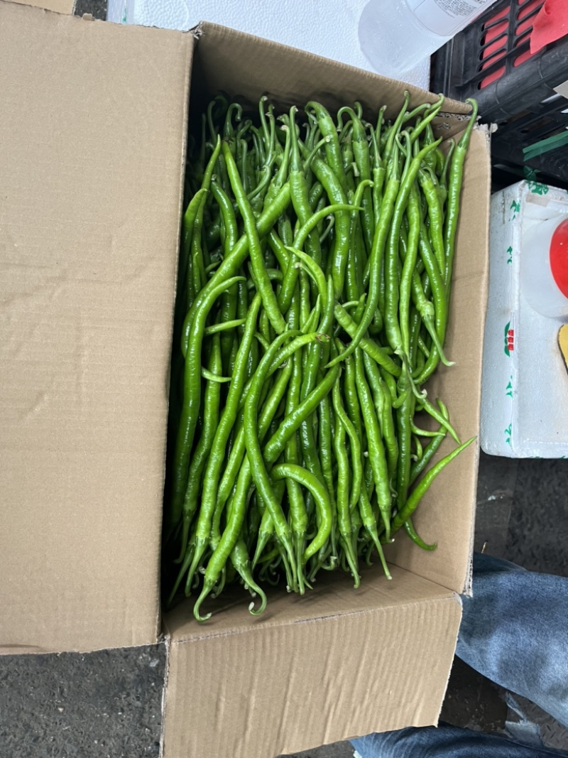 目前市场走货慢行情差老板发微信说基地上的精品一到直接抢光