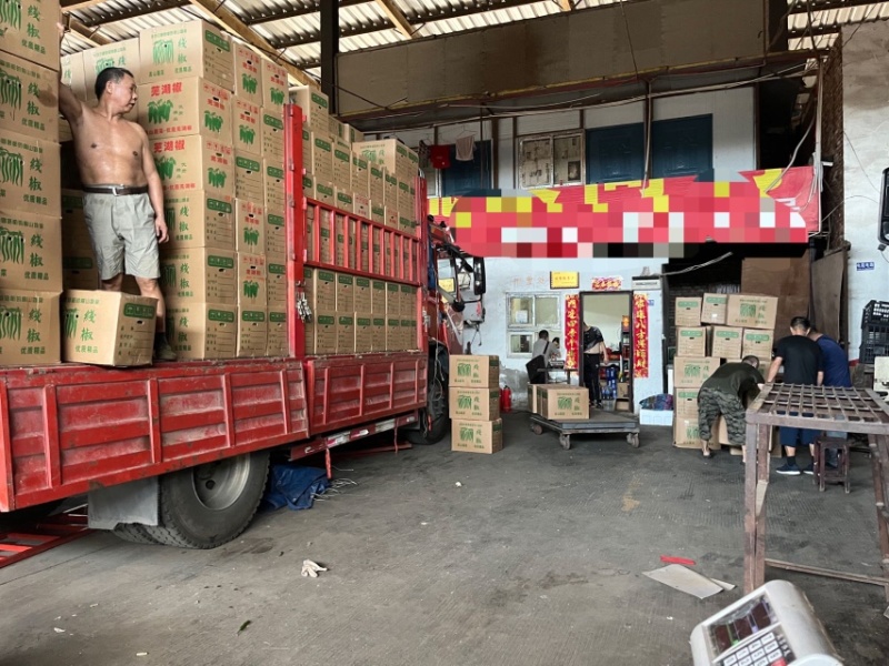 目前市场走货慢行情差老板发微信说基地上的精品一到直接抢光