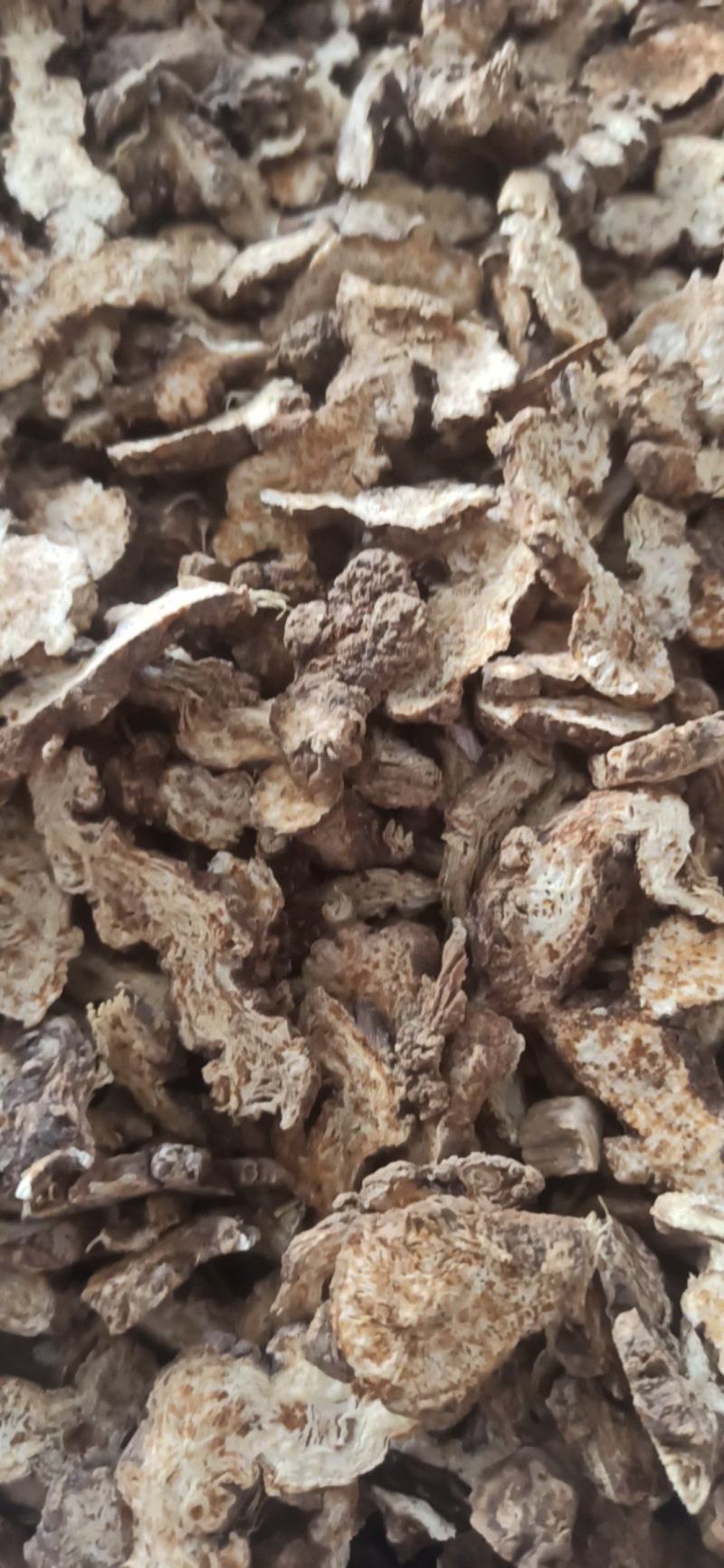 苍术各种规格苍术气味浓无硫质量保证量大从优