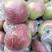 美八苹果，红露苹果产地大量供应，质量保证