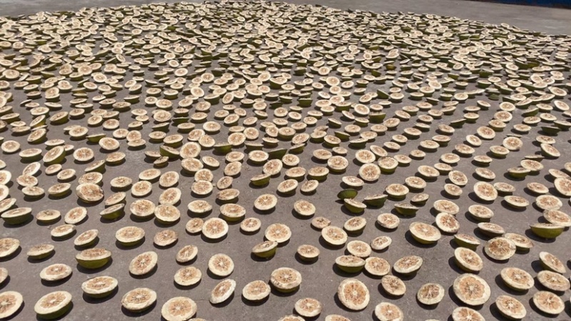 枳壳