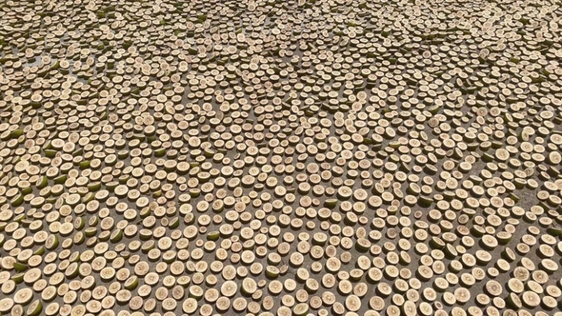 枳壳