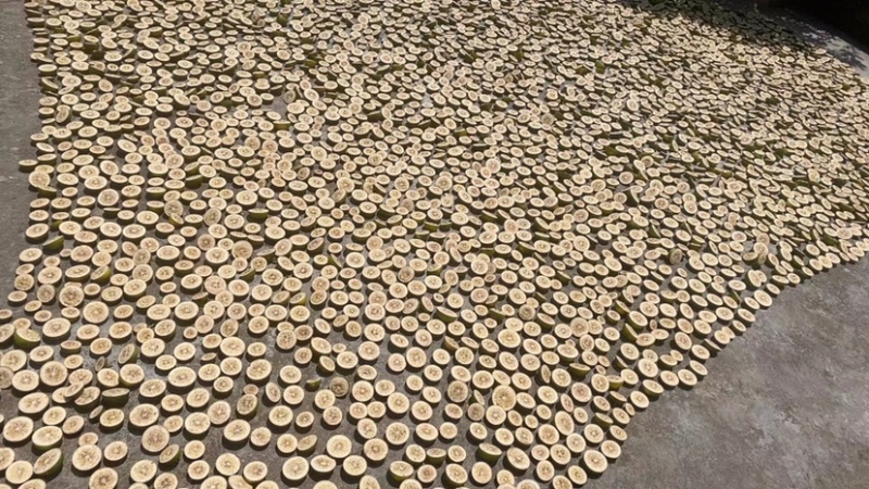 枳壳
