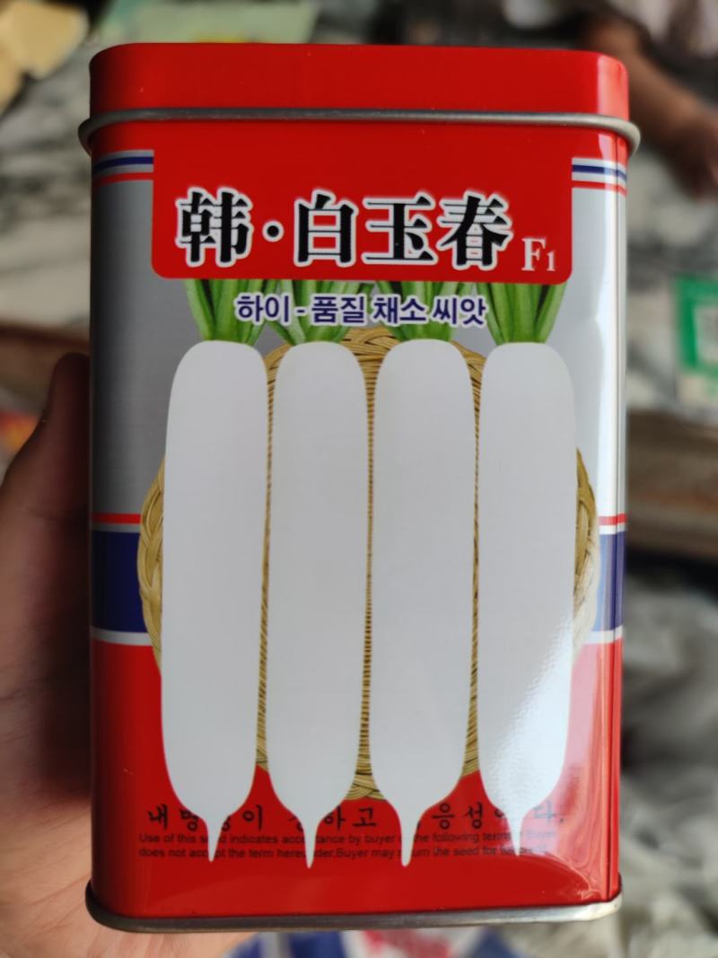 韩白玉春萝卜种子，50克，裂根少肉质紧密抽苔晚