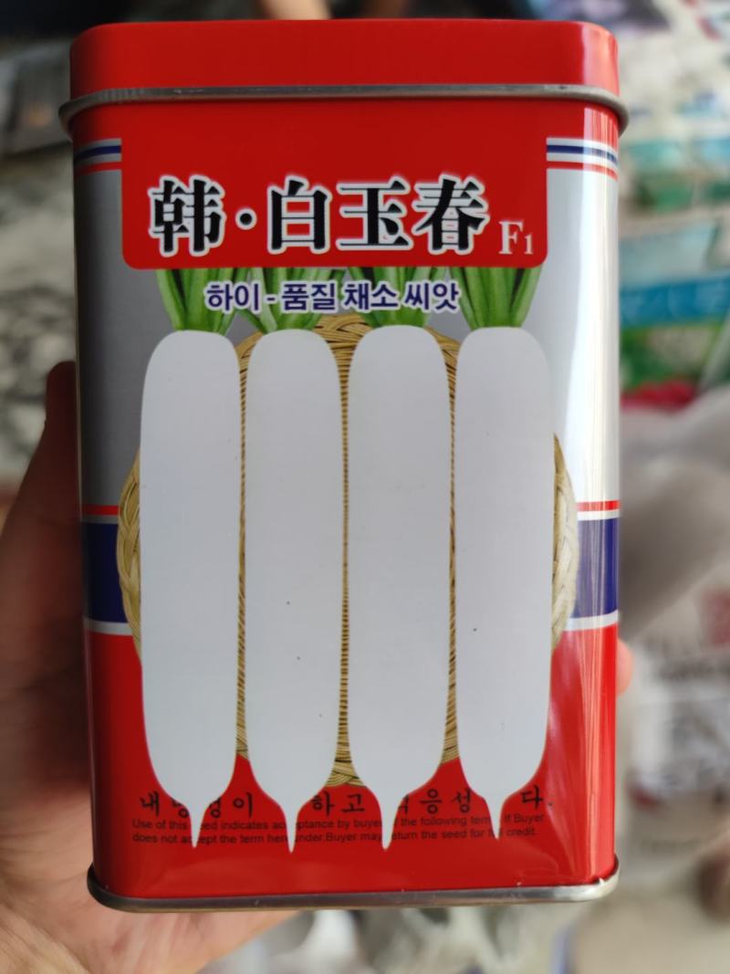韩白玉春萝卜种子，50克，裂根少肉质紧密抽苔晚