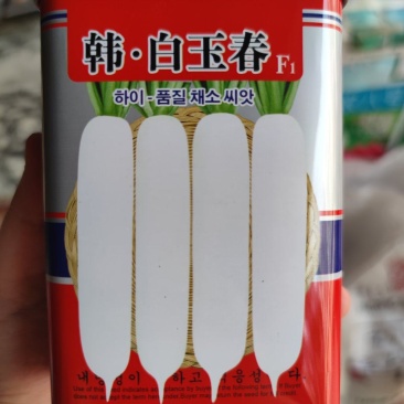 韩白玉春萝卜种子，50克，裂根少肉质紧密抽苔晚