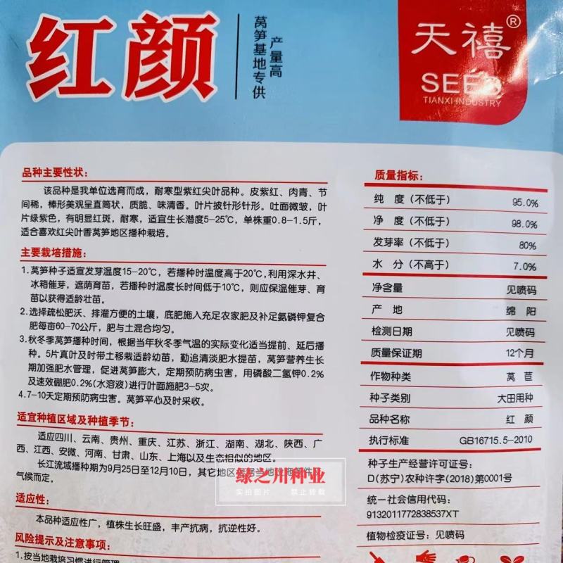 莴笋基地专用耐寒莴笋种子天禧红颜莴笋抗病紫红尖叶莴笋
