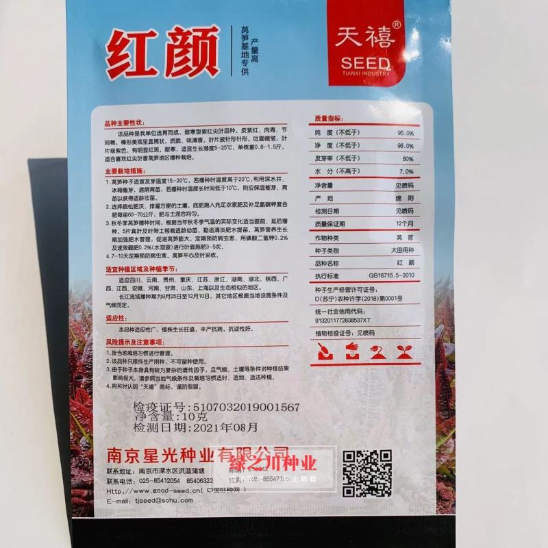 莴笋基地专用耐寒莴笋种子天禧红颜莴笋抗病紫红尖叶莴笋