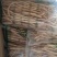 袋装内蒙北沙参500g，牛家营子北沙参种植基地，长期现货