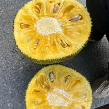 马来西亚